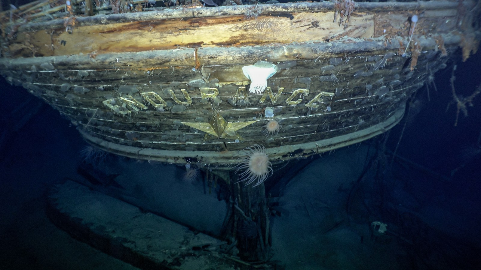 Shackleton’s Long-Lost Endurance Discovered in Antarctica