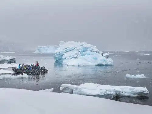 Antarctica - Discovery and learning voyage - Nexta Expeditions